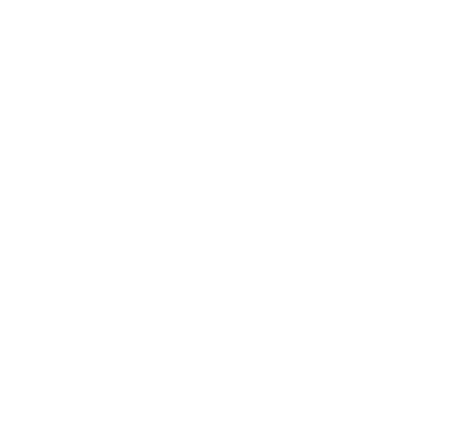 NEURON NEURON