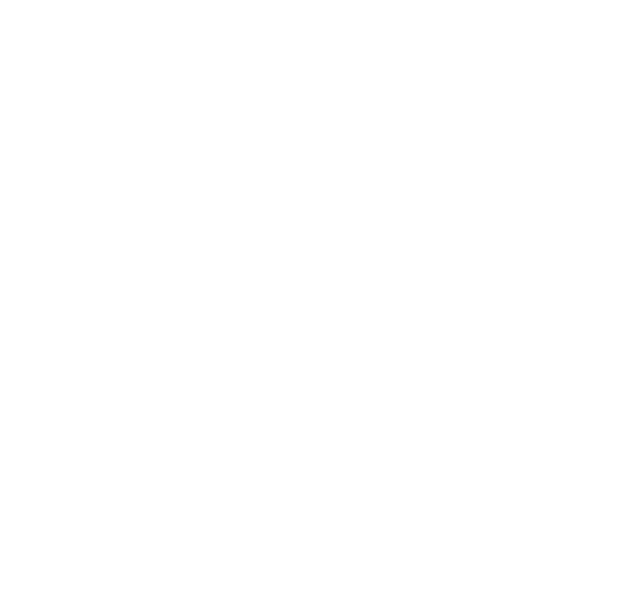 SKY-DRONES SKY-DRONES